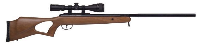 Benjamin Trail NP .22 XL