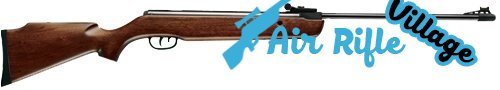 Best Air Rifles Under $200