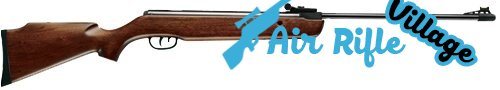2. Crosman Nitro Venom